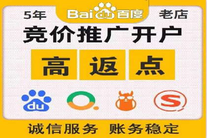 案例研究：SEM推广助力企业业绩增长